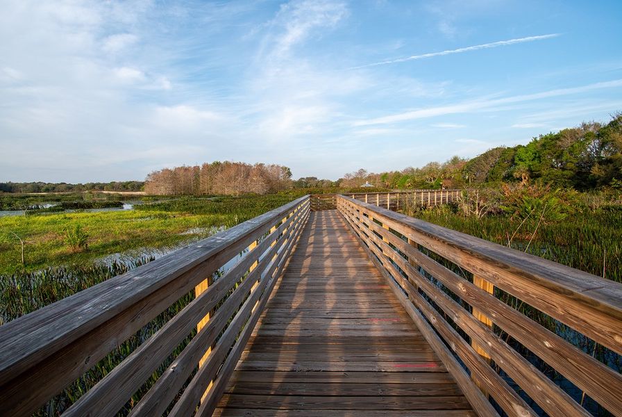 Palm Beach Boynton Beach Green Cay Wetland 101025