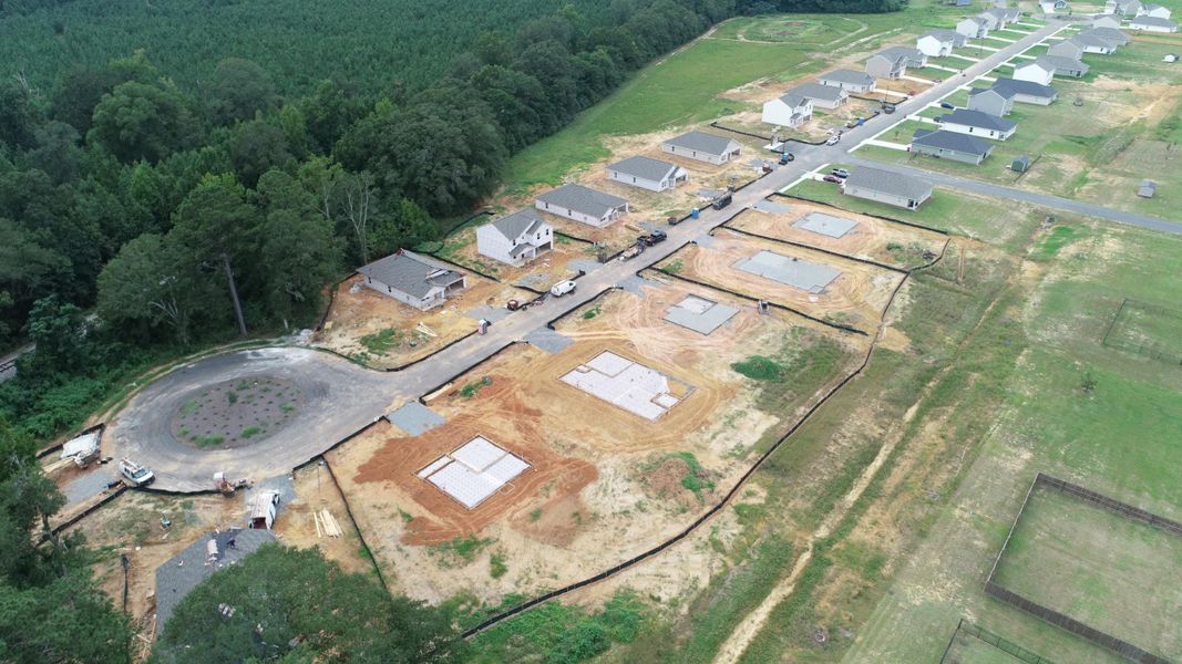 A large green landscape. A large green landscape.