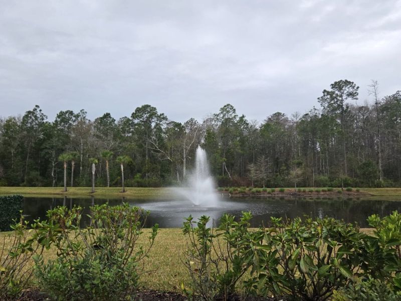 A serene pond with a fountain and lush greenery in RiverTown - Meadows by Mattamy Homes, St. Johns, FL.