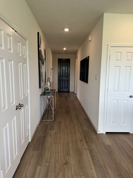 A modern hallway with wood-look flooring, white doors, and contemporary decor accents.