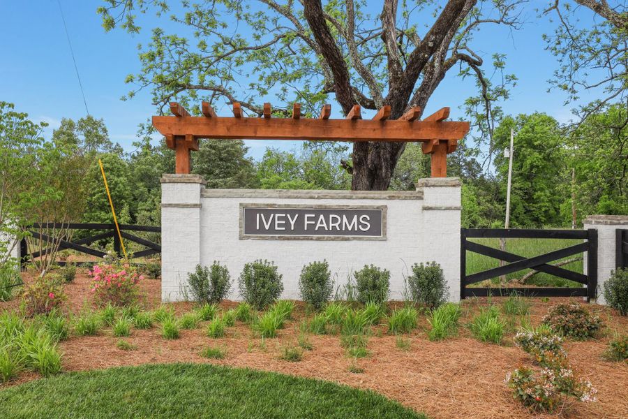 Entrance to the Ivey Farms - The Grove Collection community in Farragut, TN, featuring signage and landscaping (Image 2).
