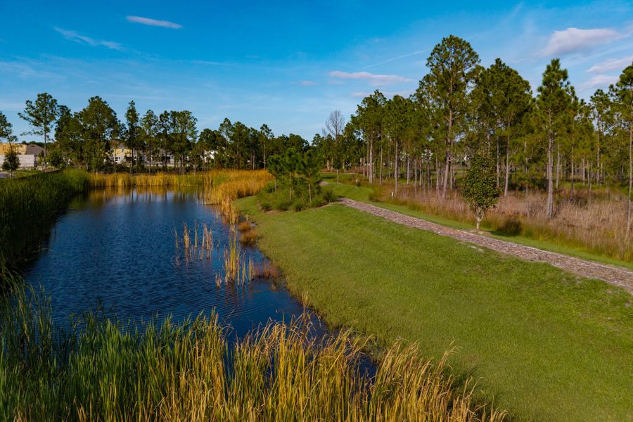 Trinity Gardens in DeLand, FL – New Home Community Surrounded by Nature