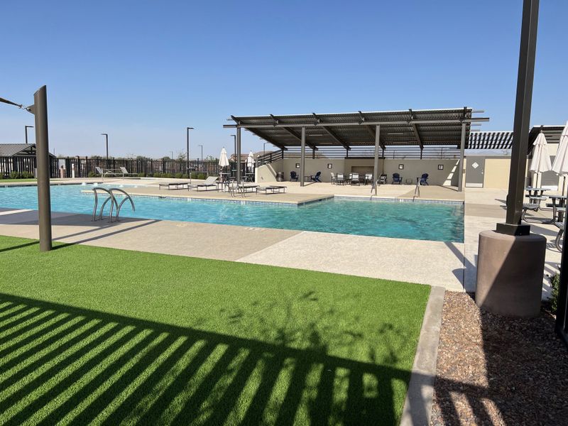 A contemporary community pool with shaded seating area in Avion: Arbor by Lennar, Goodyear, AZ.