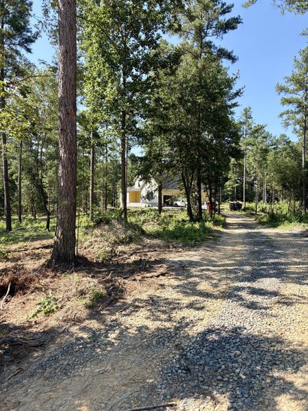Natural surroundings and green spaces near Pine Ridge in Soddy-Daisy, TN (Image 62). Natural surroundings and green spaces near Pine Ridge in Soddy-Daisy, TN (Image 62).