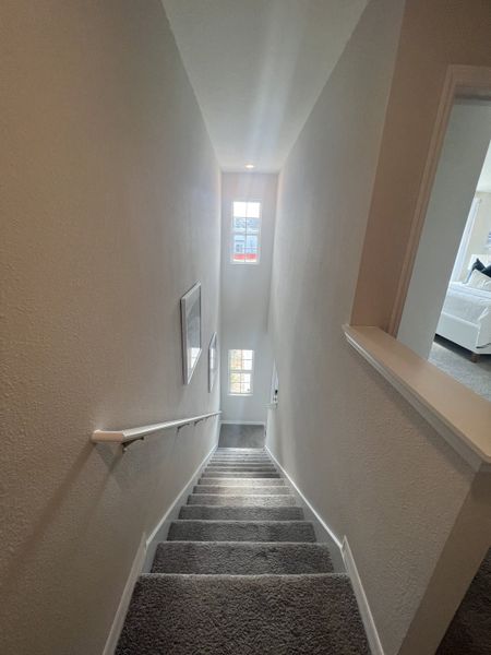 A carpeted staircase with natural lighting and white walls, leading to an airy interior space.