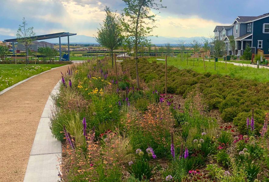 Community amenity available to residents of Painted Prairie 65’ in Aurora (Image 5).