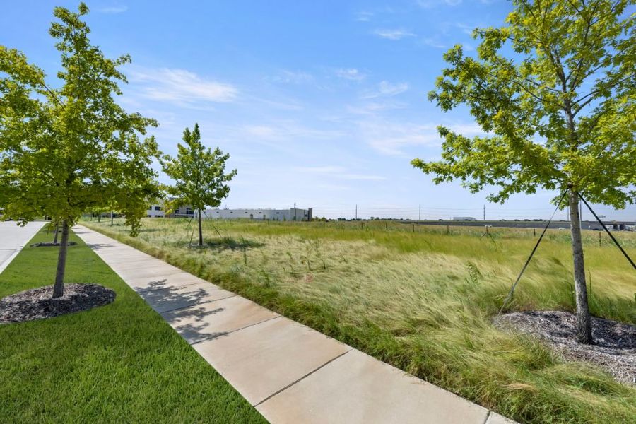 Natural surroundings and green spaces near Chelsea Commons in Allen, TX (Image 73). Natural surroundings and green spaces near Chelsea Commons in Allen, TX (Image 73).