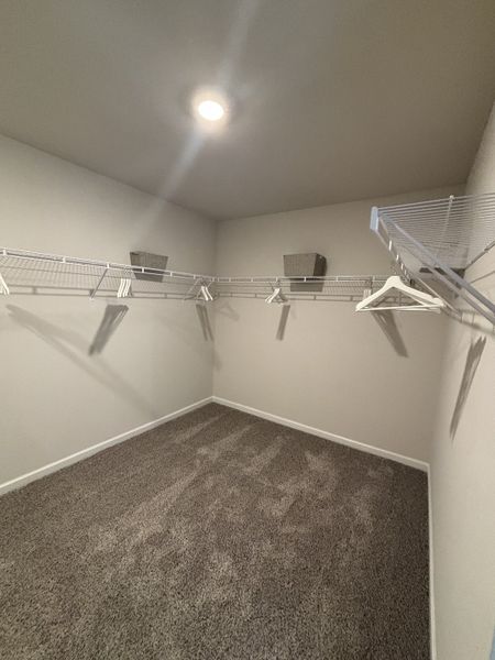 A spacious walk-in closet with plush carpeting, ample overhead storage, and bright lighting for easy organization.