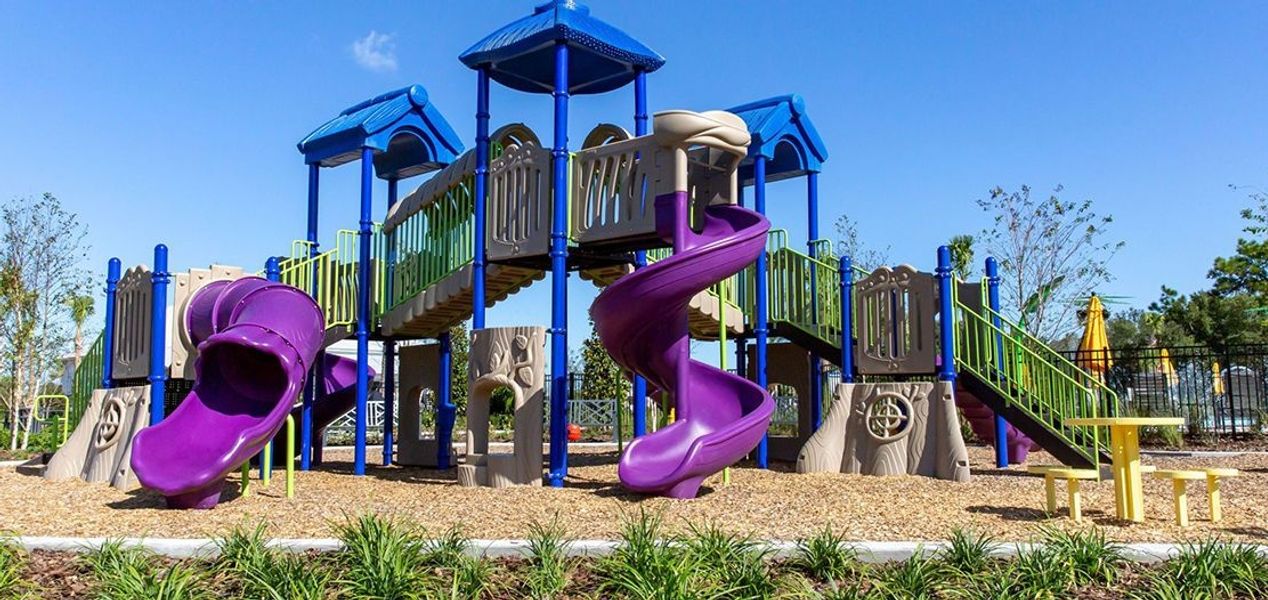 Image 9 of the Avalon Park Wesley Chapel community in Wesley Chapel, FL.