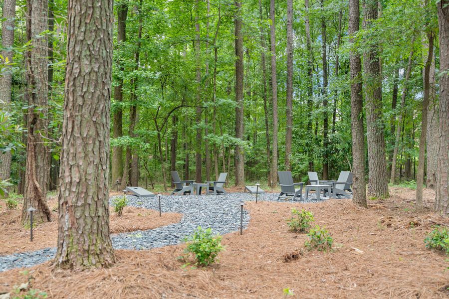 Natural surroundings and green spaces near Byers Park in Alpharetta, GA (Image 53). Natural surroundings and green spaces near Byers Park in Alpharetta, GA (Image 53).
