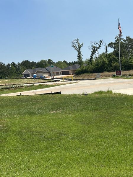 A developing neighborhood with new homes and greenery at Montgomery Ridge: Founders Collection by Beazer Homes (Montgomery, TX).