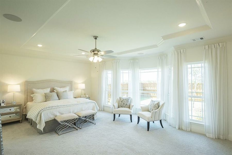 Image 13 of the Spring View Estates community in Frisco, TX.