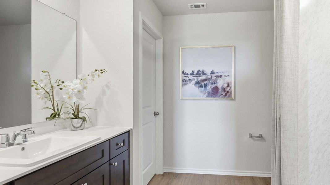 Furnished interior in a model home at Maplewood Meadows in Talty (Image 6). Furnished interior in a model home at Maplewood Meadows in Talty (Image 6).