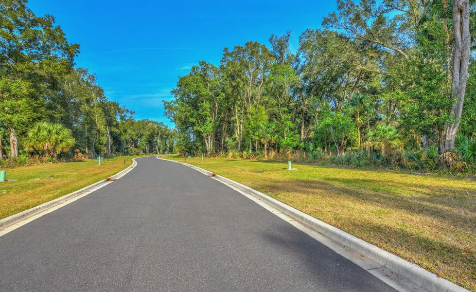Natural surroundings and green spaces near The Estates at Brown's Landing in Port Orange, FL (Image 7).