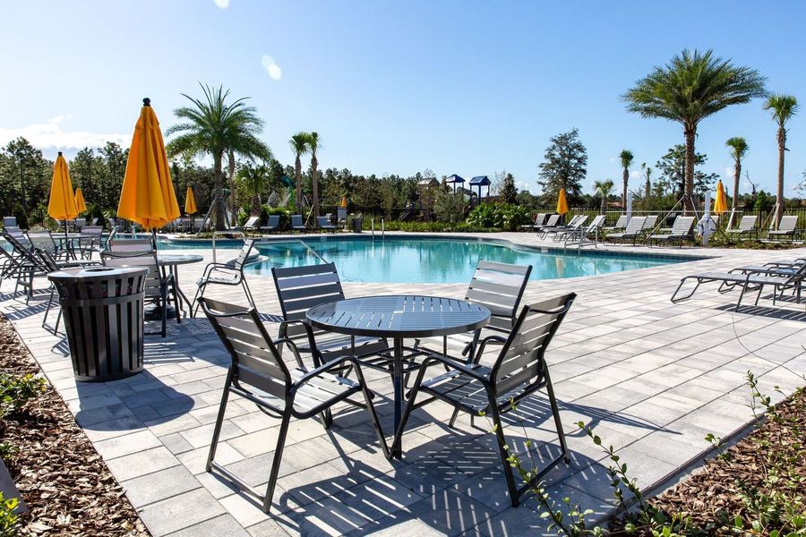 Take a Dip in the Pool Take a Dip in the Pool