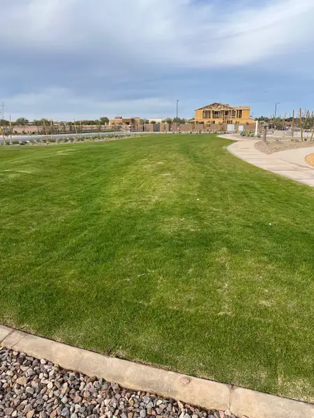 Expansive green lawn and new construction in Solstice at Terraza by Tri Pointe Homes, San Tan Valley, AZ.
