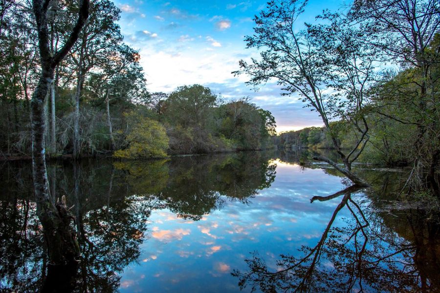 Schultz Lake at The Ponds