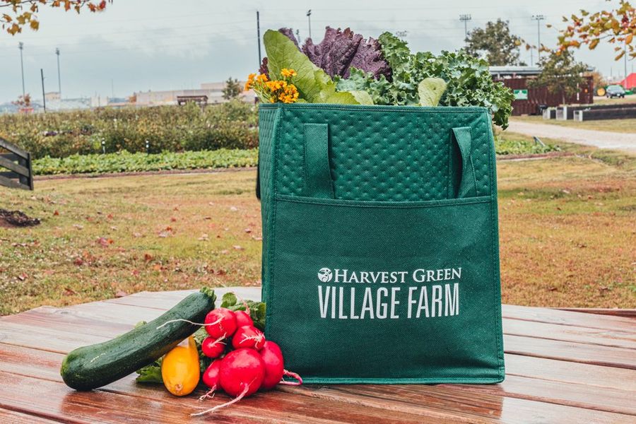 Harvest Green Image 34 Harvest Green Image 34