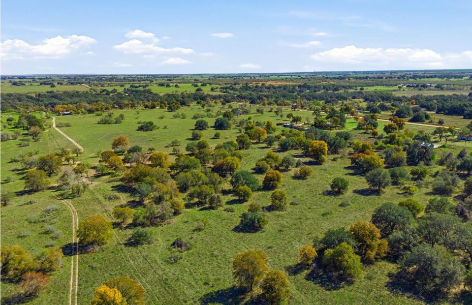 Scenic Treelined Views Scenic Treelined Views