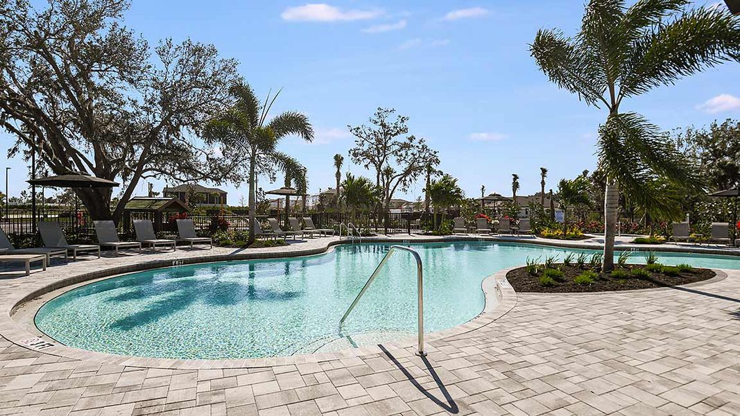 Image 77 of the Palmero community in Nokomis, FL. Image 77 of the Palmero community in Nokomis, FL.