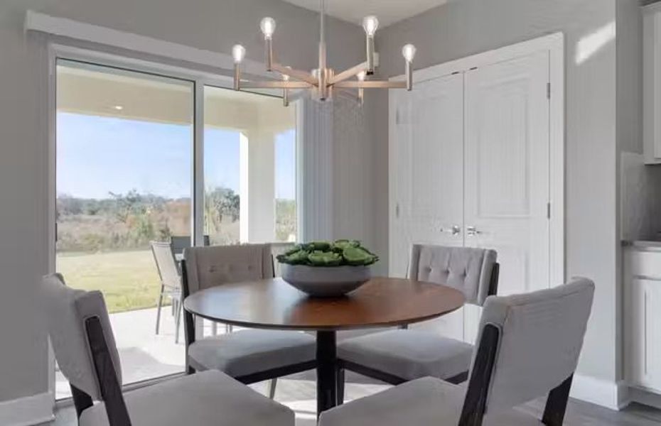 Image 24 of the Cagan Crossings community in Clermont, FL.