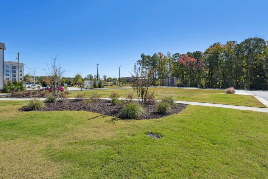 Image 47 of the Twinleaf Townes community in Chapel Hill, NC. Image 47 of the Twinleaf Townes community in Chapel Hill, NC.