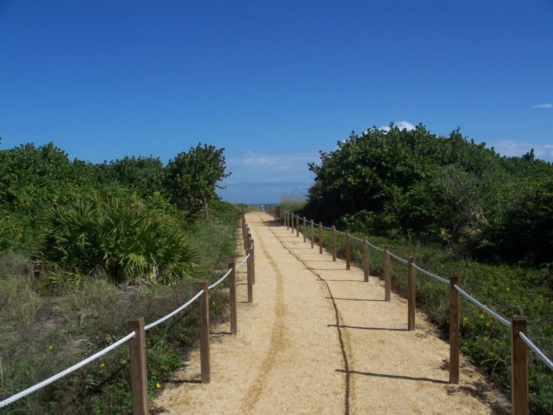 Natural surroundings and green spaces near Pineapple Grove in Fort Pierce, FL (Image 51). Natural surroundings and green spaces near Pineapple Grove in Fort Pierce, FL (Image 51).
