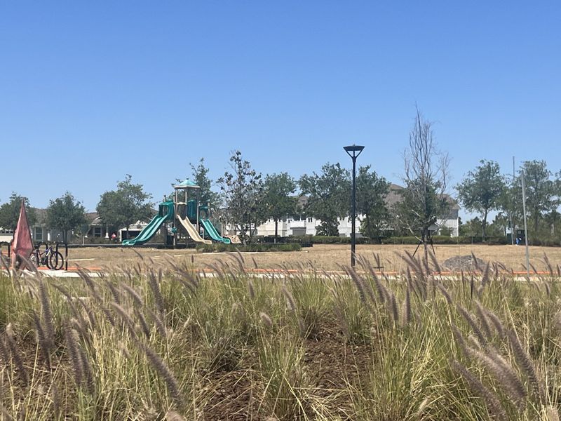 A scenic park with a play structure nestled in Tohoqua Reserve by Pulte Homes in Kissimmee, FL, surrounded by greenery.