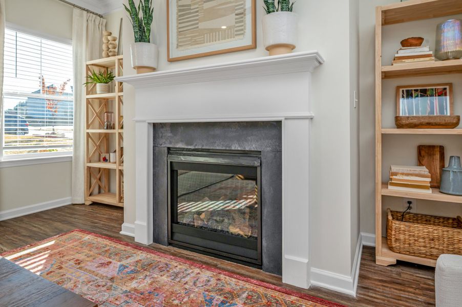 Image 27 of the Bryson Farms community in Byron, GA.