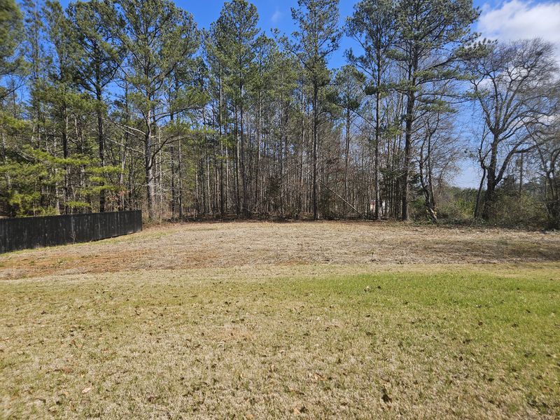 A large open backyard with green grass and a wooded area, offering a peaceful and private outdoor space.