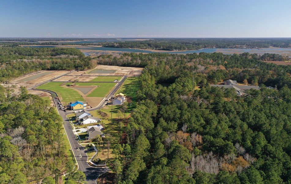 Malind Bluff by the Water