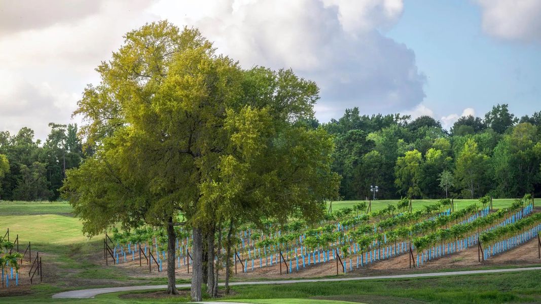 Image 12 of the Chambers Creek master-planned community in Willis, TX.