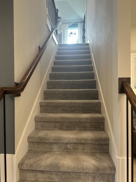 A carpeted staircase with wooden handrails leads upwards, flanked by neutral-toned walls and natural light.