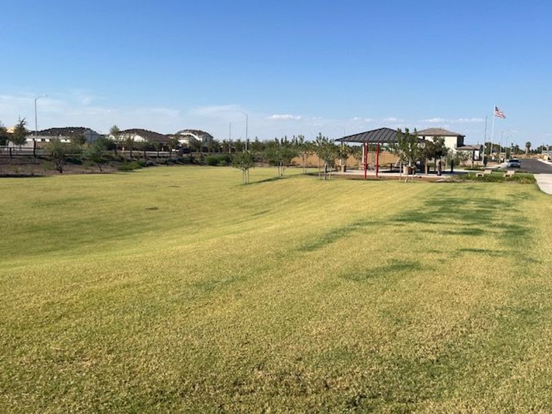 Expansive green space and pavilion in Laveen Vistas III by Homes by Towne, Laveen, AZ, perfect for community activities. Expansive green space and pavilion in Laveen Vistas III by Homes by Towne, Laveen, AZ, perfect for community activities.