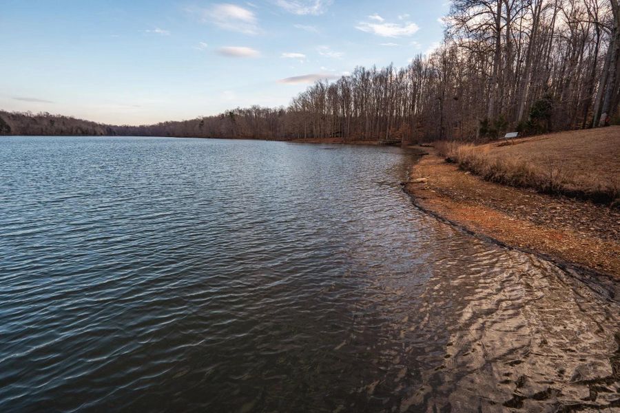 Shoreline at Lake Michael in Mebane, NC