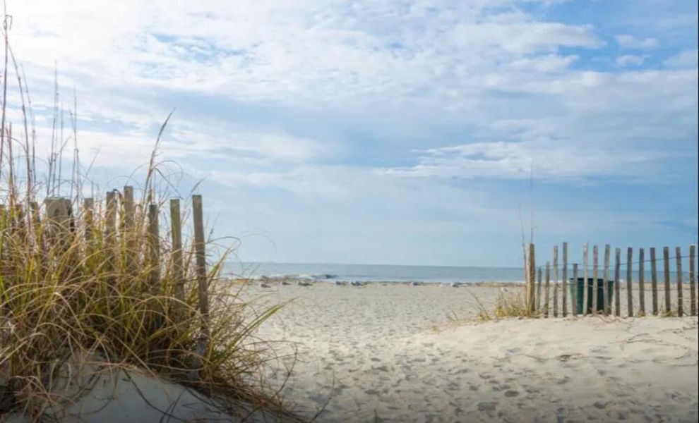 Natural surroundings and green spaces near New Riverside Village in Bluffton, SC (Image 14).