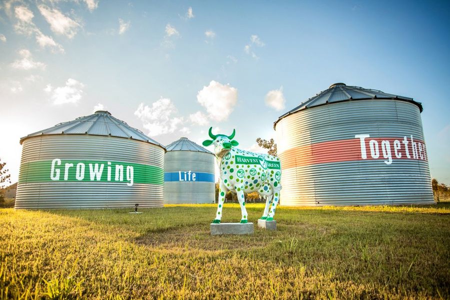 Harvest Green Image 36 Harvest Green Image 36