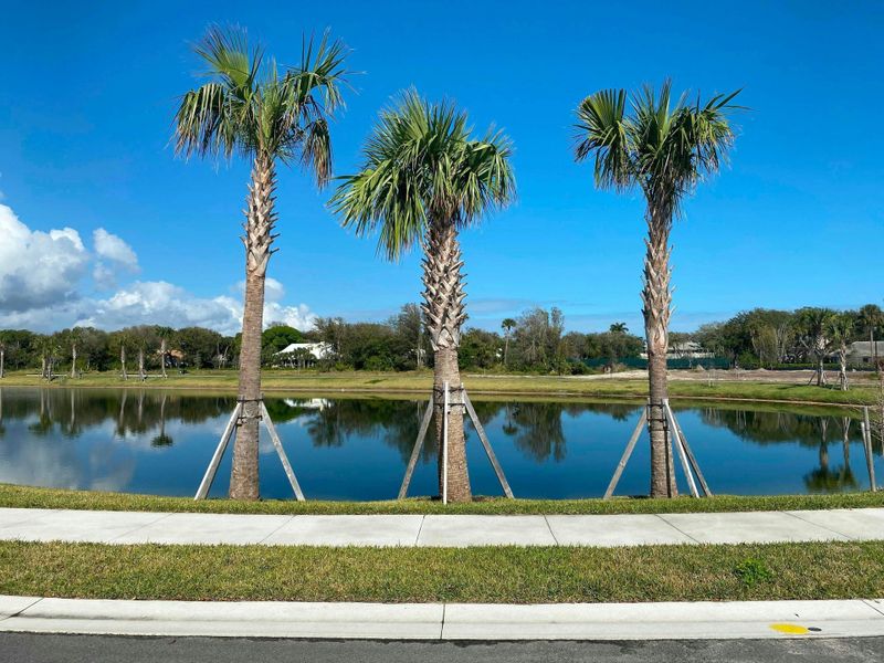 Community Lakes | The Strand:Community Lakes | The Strand