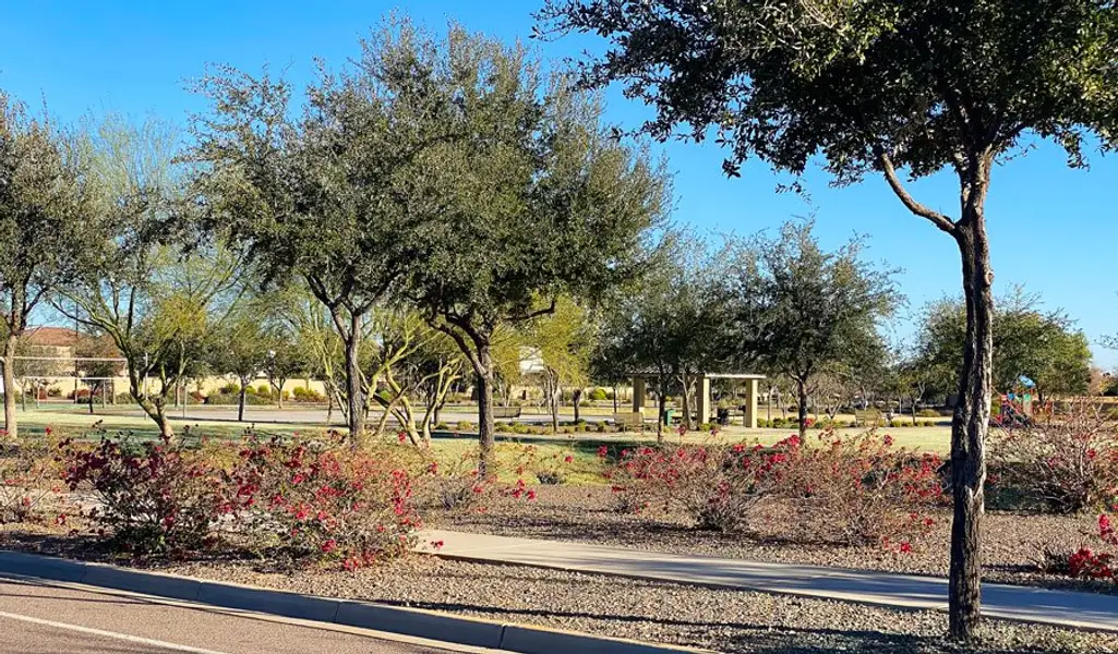 White Tank Foothills
