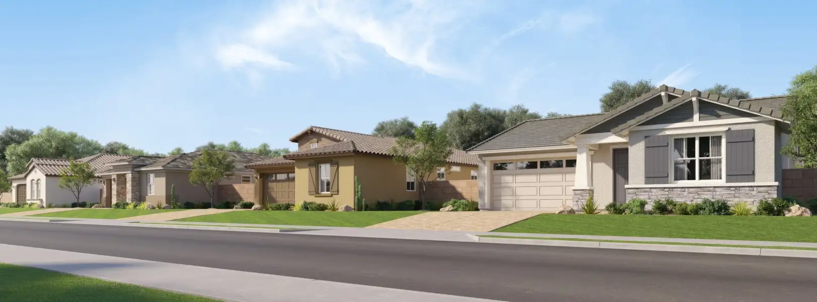 Ventana Ranch signature homes streetscape