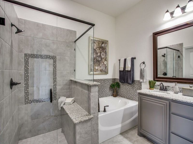 Image 4 of the Queensgate community in Mansfield, TX.