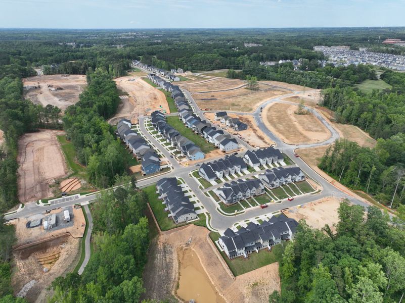 Streetscape Streetscape