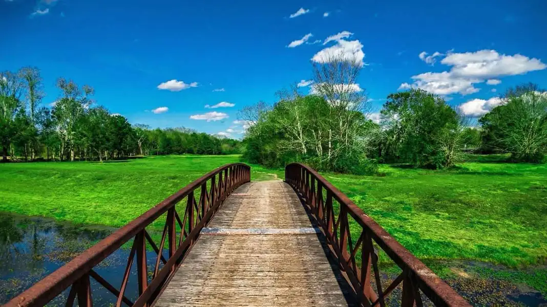Natural surroundings and green spaces near Friendswood Trails in Friendswood, TX (Image 28).