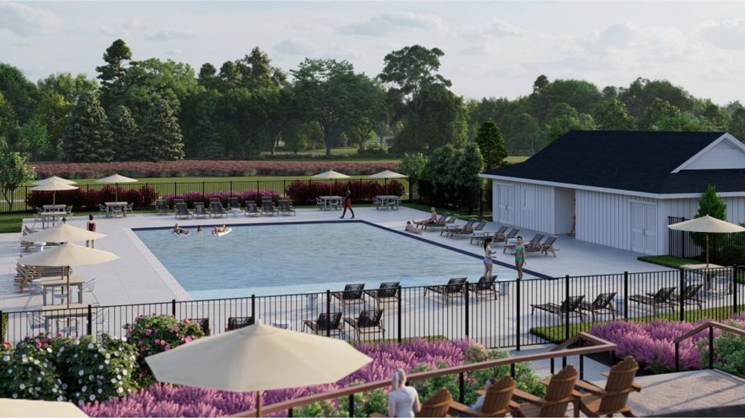 Carolina Springs Amenity Pool