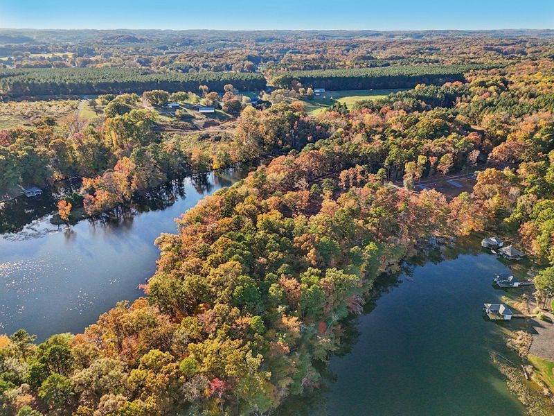 Natural surroundings and green spaces near Edgewater on Lake Tillery Waterfront in Norwood, NC (Image 17).