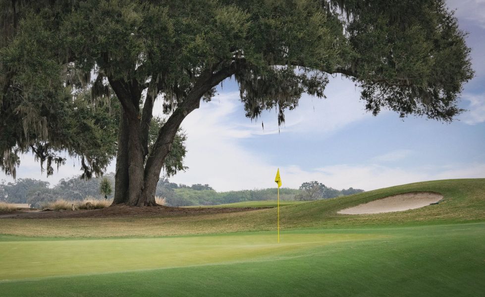 Natural surroundings and green spaces near IronCrest in Ocala, FL (Image 22).