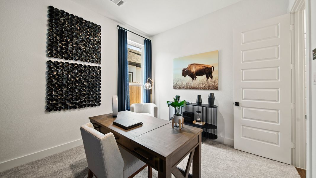 Sorella - Olive lll Model Photo Sorella - Olive lll Model Photo