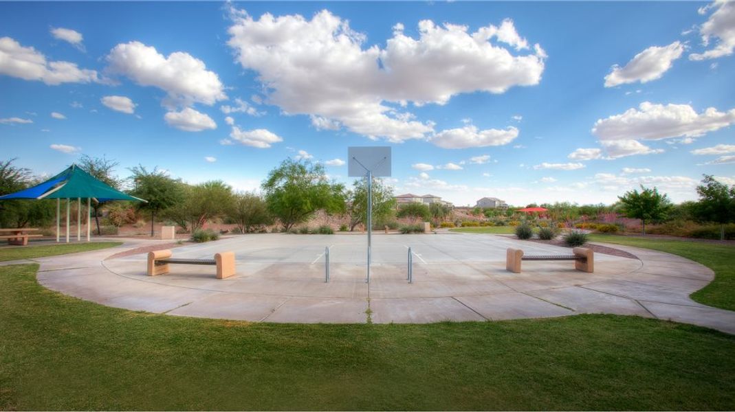 Basketball Court