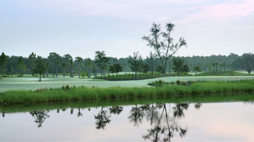 Hampton Lakes at River Hall pond