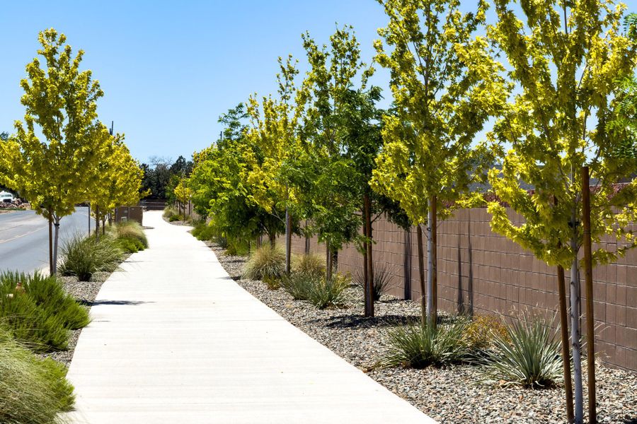 Natural surroundings and green spaces near Perkinsville in Chino Valley, AZ (Image 37). Natural surroundings and green spaces near Perkinsville in Chino Valley, AZ (Image 37).